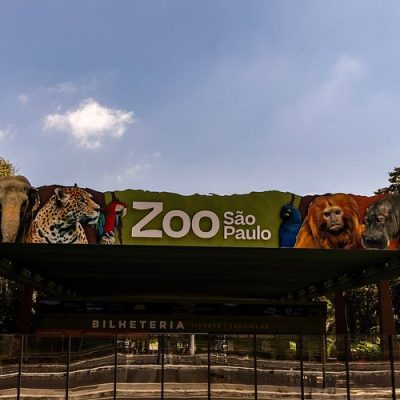 A GERA BRASIL oferece soluções de energia para o Zoológico de São Paulo.
